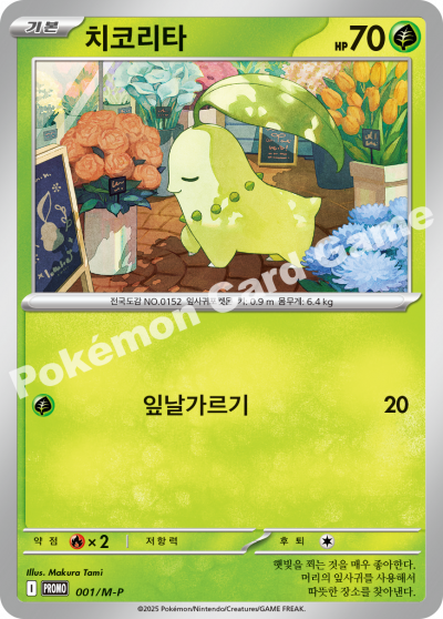 치코리타