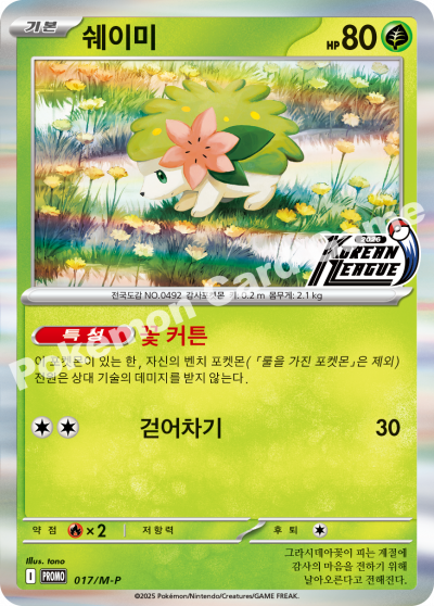쉐이미