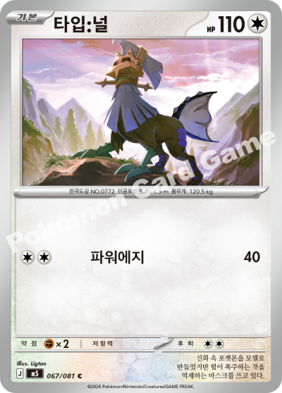 타입:널