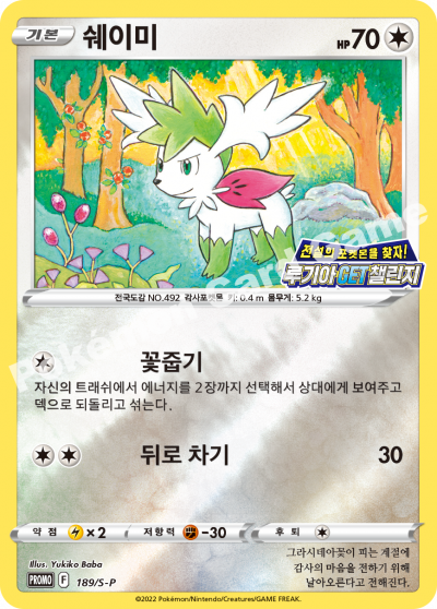 쉐이미
