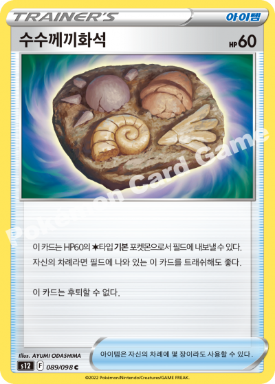 수수께끼화석