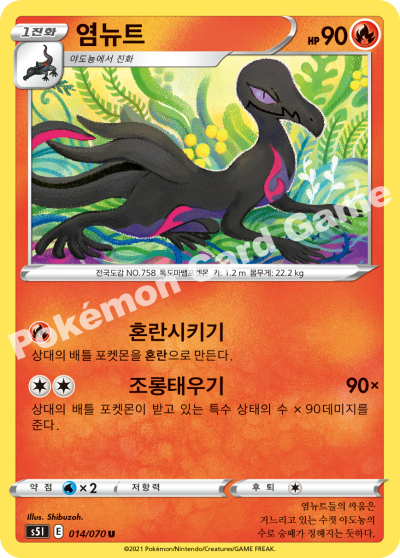 염뉴트