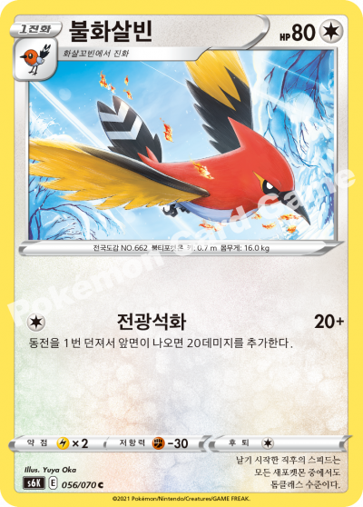 불화살빈