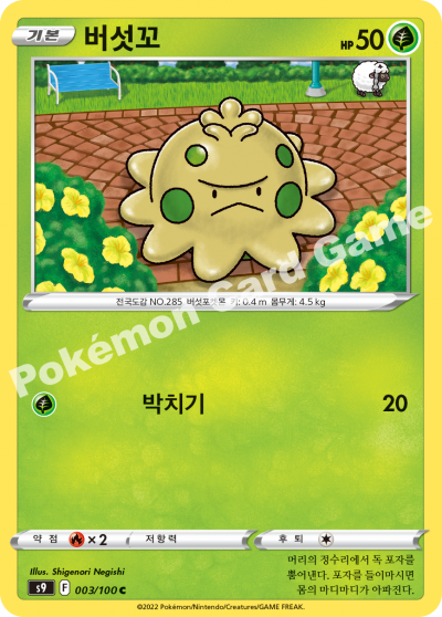 버섯꼬