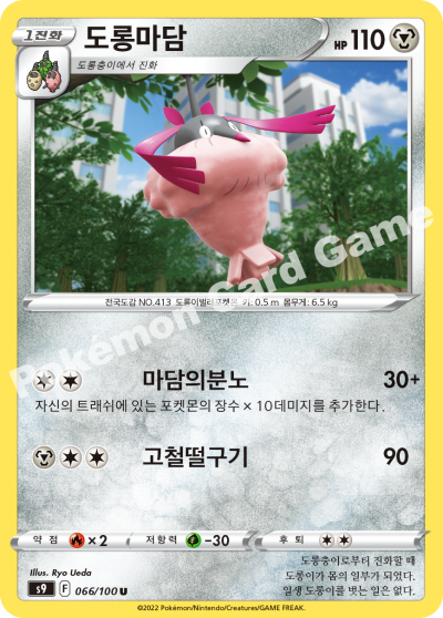 도롱마담