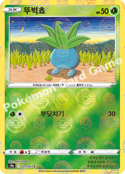 뚜벅쵸