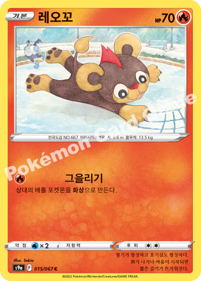 레오꼬