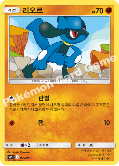 리오르