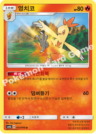 영치코