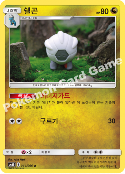 쉘곤