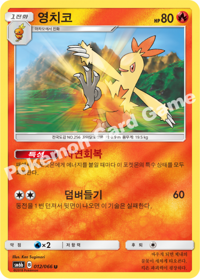 영치코
