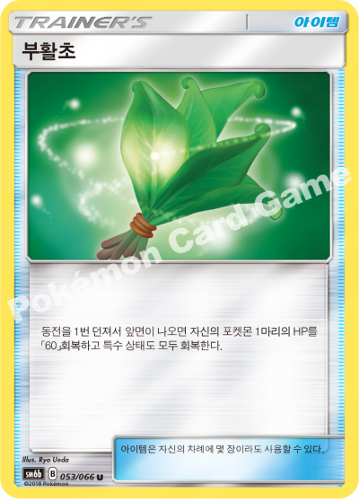 부활초