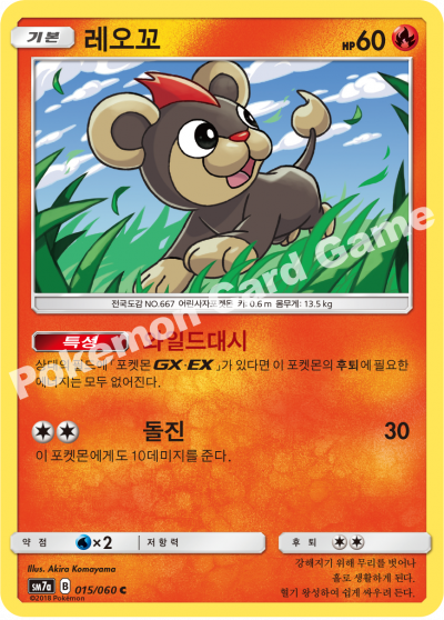 레오꼬