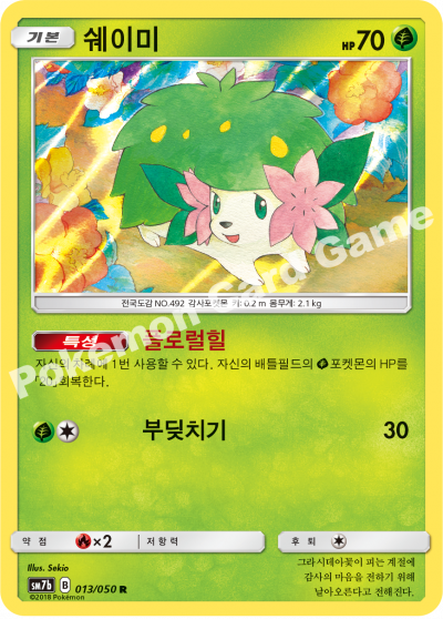 쉐이미