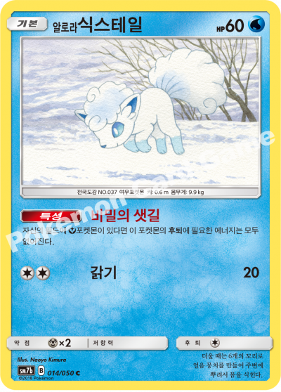 알로라식스테일