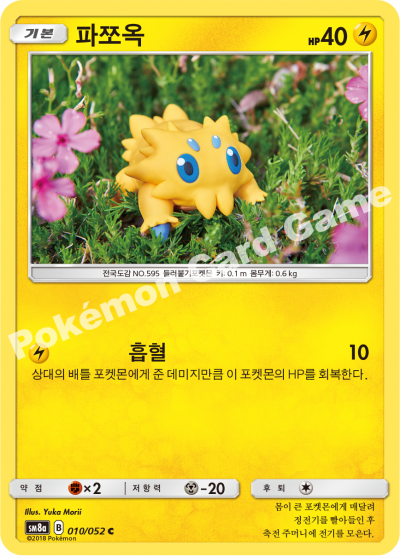 파쪼옥