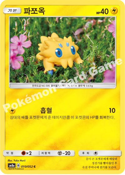 파쪼옥