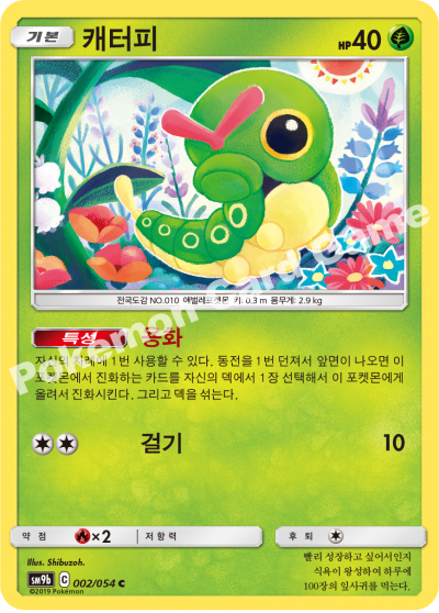 캐터피