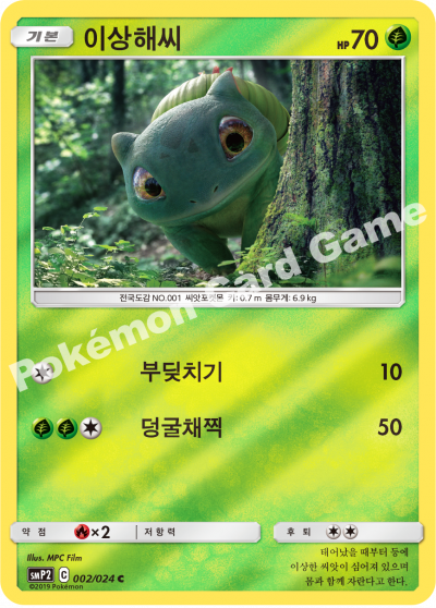이상해씨