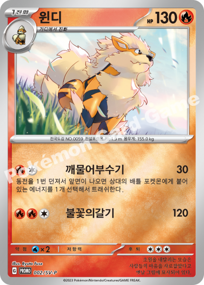 윈디