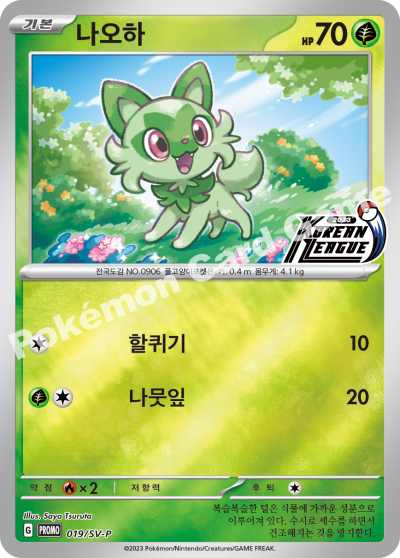 나오하