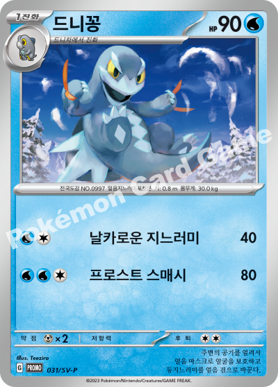 드니꽁