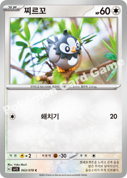 Starly (찌르꼬)