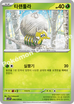Tarountula (타랜툴라)