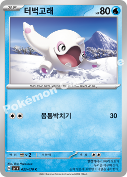 Cetoddle (터벅고래)