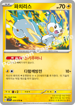 Pachirisu (파치리스)
