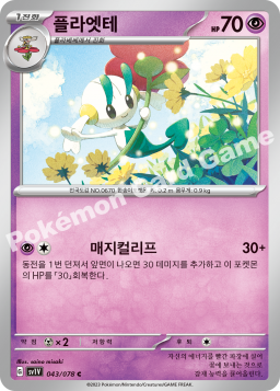Floette (플라엣테)