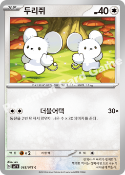 Tandemaus (두리쥐)