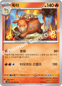 Camerupt (폭타)