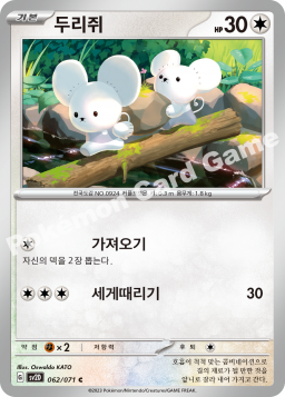 Tandemaus (두리쥐)