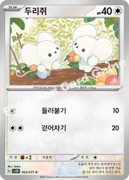 Tandemaus (두리쥐)