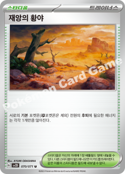 재앙의 황야