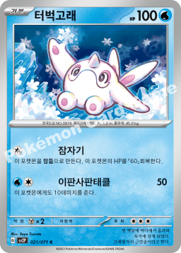 Cetoddle (터벅고래)