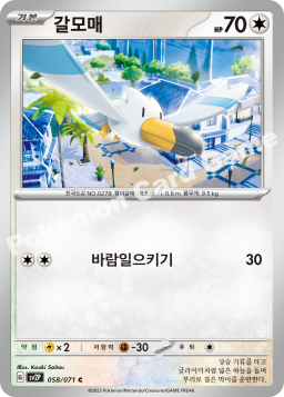 Wingull (갈모매)