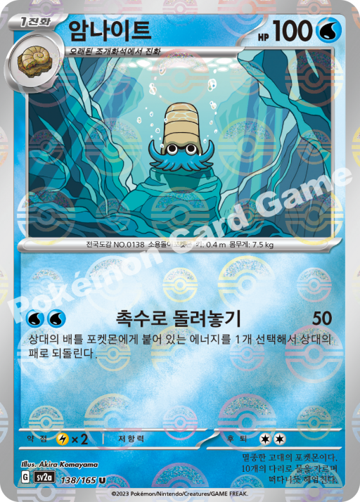 암나이트