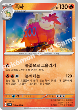 Camerupt (폭타)