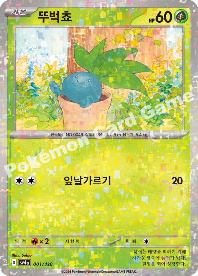 뚜벅쵸