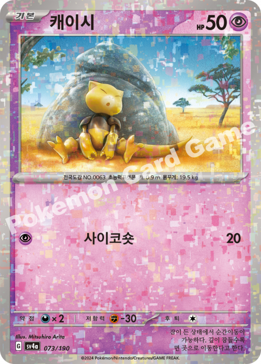 캐이시