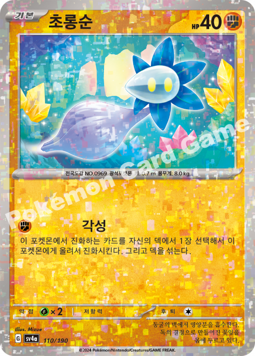 초롱순