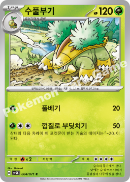 Grotle (수풀부기)