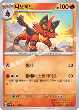 Torracat (냐오히트)