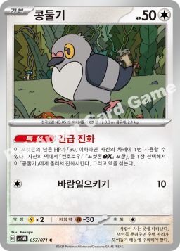 Pidove (콩둘기)