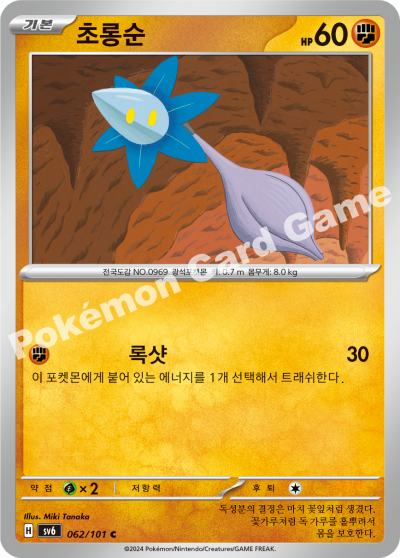 초롱순