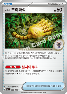 오래된 뿌리화석