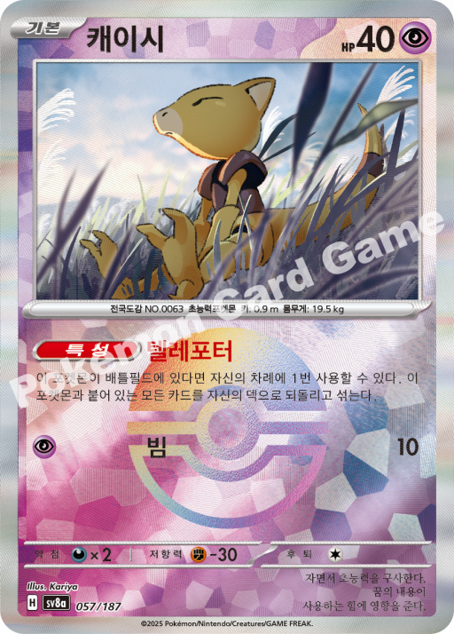 캐이시