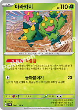 Maractus (마라카치)